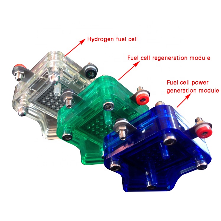 Electrolizor generator de hidrogen Pem pentru veterinar