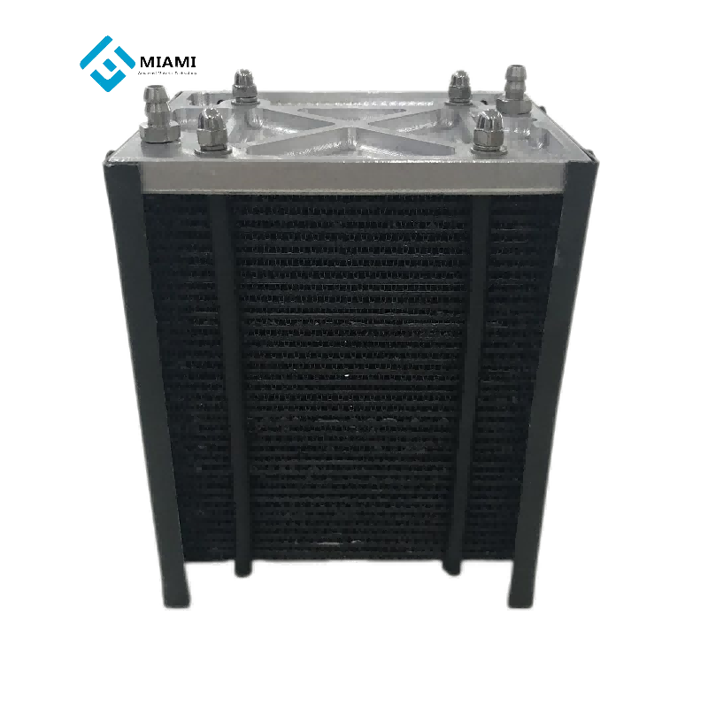 Celulă de combustie cu hidrogen portabilă 100w Pemfc Stack Sistem de stivă cu hidrogen